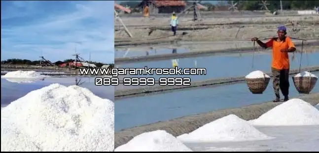 Jual Garam Kasar Murah Gresik untuk Kebutuhan Produksi
